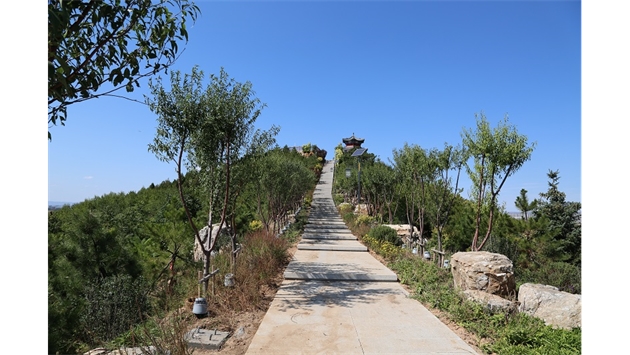 標(biāo)題：張家口太子山山體修復(fù)
瀏覽次數(shù)：18422
發(fā)表時(shí)間：2020-11-12